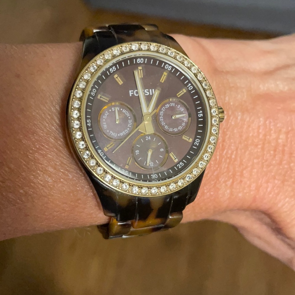 Tortoise Fossil Watch